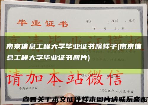 南京信息工程大学毕业证书啥样子(南京信息工程大学毕业证书图片)缩略图