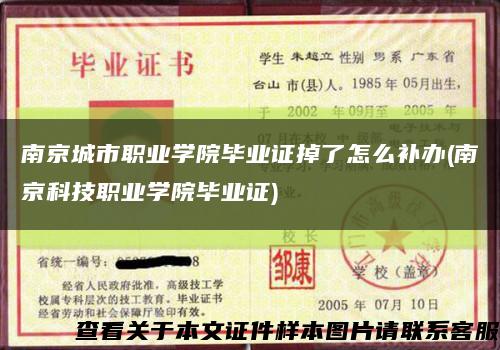 南京城市职业学院毕业证掉了怎么补办(南京科技职业学院毕业证)缩略图