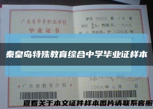 秦皇岛特殊教育综合中学毕业证样本缩略图