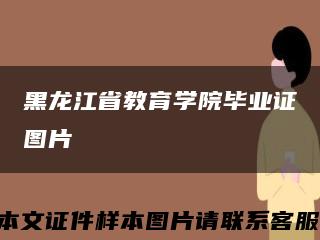 黑龙江省教育学院毕业证图片缩略图