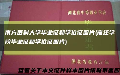 南方医科大学毕业证和学位证图片(宿迁学院毕业证和学位证图片)缩略图