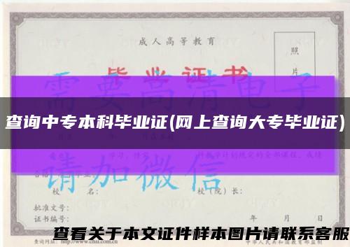 查询中专本科毕业证(网上查询大专毕业证)缩略图