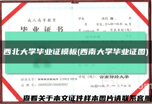 西北大学毕业证模板(西南大学毕业证图)缩略图