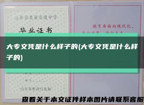 大专文凭是什么样子的(大专文凭是什么样子的)缩略图