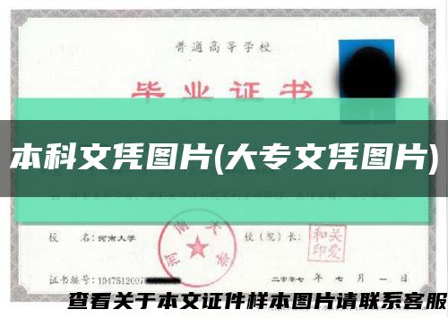 本科文凭图片(大专文凭图片)缩略图