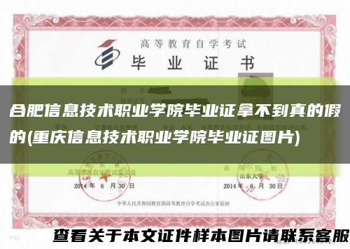 合肥信息技术职业学院毕业证拿不到真的假的(重庆信息技术职业学院毕业证图片)缩略图