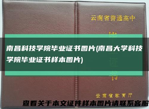 南昌科技学院毕业证书图片(南昌大学科技学院毕业证书样本图片)缩略图