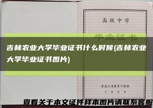 吉林农业大学毕业证书什么时候(吉林农业大学毕业证书图片)缩略图