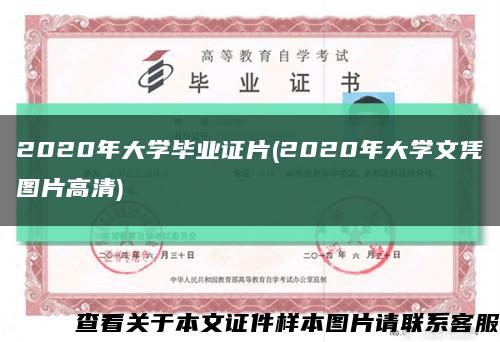 2020年大学毕业证片(2020年大学文凭图片高清)缩略图