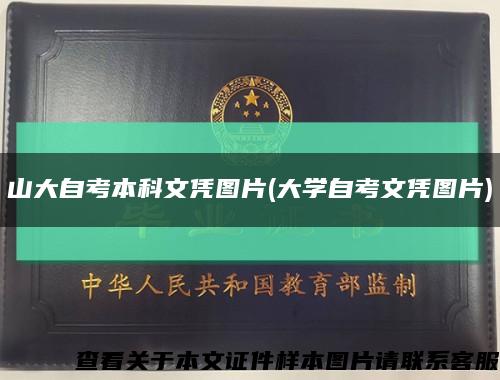 山大自考本科文凭图片(大学自考文凭图片)缩略图