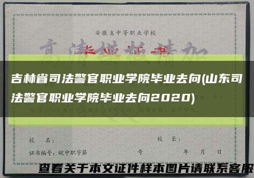 吉林省司法警官职业学院毕业去向(山东司法警官职业学院毕业去向2020)缩略图