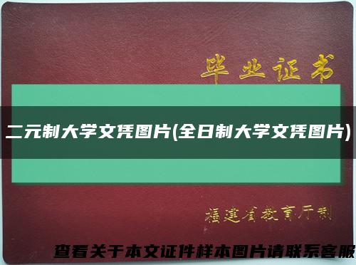 二元制大学文凭图片(全日制大学文凭图片)缩略图