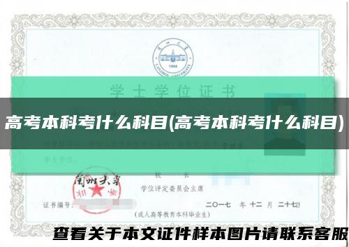 高考本科考什么科目(高考本科考什么科目)缩略图
