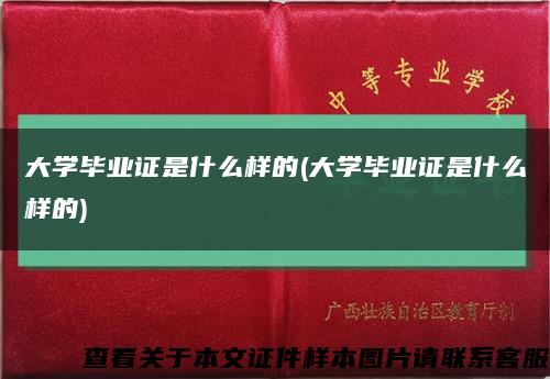 大学毕业证是什么样的(大学毕业证是什么样的)缩略图