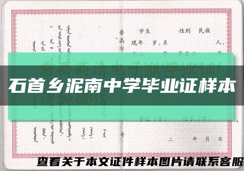 石首乡泥南中学毕业证样本缩略图