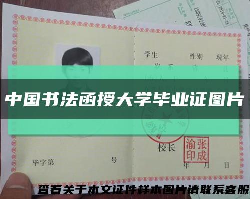 中国书法函授大学毕业证图片缩略图