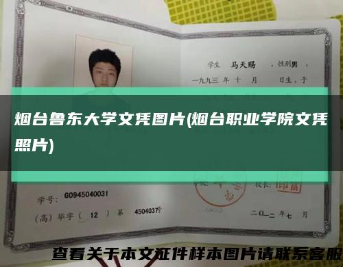 烟台鲁东大学文凭图片(烟台职业学院文凭照片)缩略图