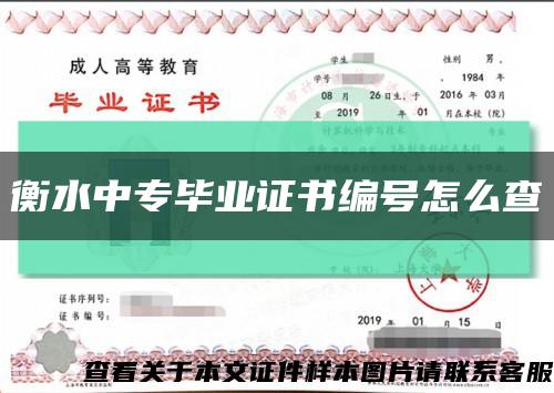 衡水中专毕业证书编号怎么查缩略图