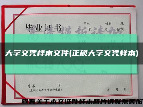 大学文凭样本文件(正规大学文凭样本)缩略图