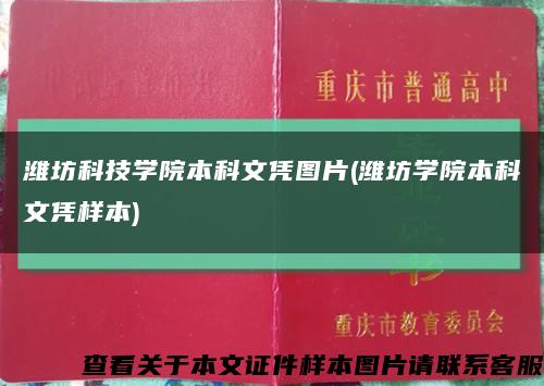 潍坊科技学院本科文凭图片(潍坊学院本科文凭样本)缩略图