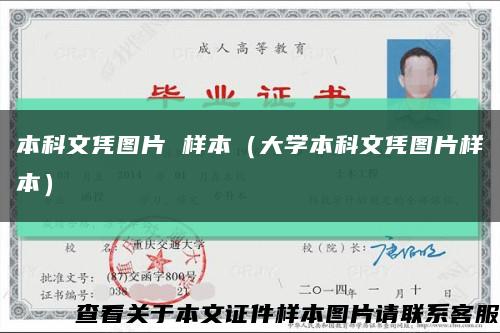 本科文凭图片 样本（大学本科文凭图片样本）缩略图