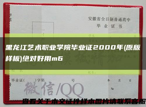 黑龙江艺术职业学院毕业证2000年(原版样板)绝对好用m6缩略图
