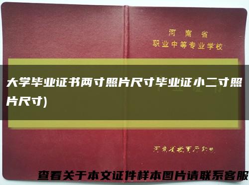 大学毕业证书两寸照片尺寸毕业证小二寸照片尺寸)缩略图