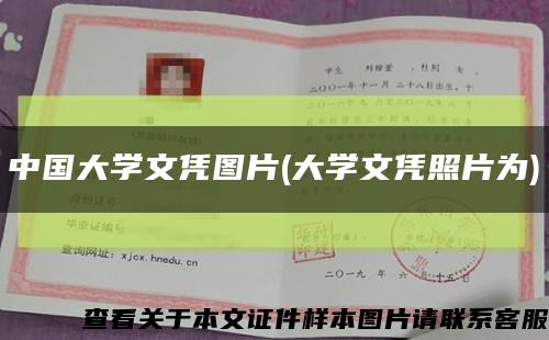中国大学文凭图片(大学文凭照片为)缩略图