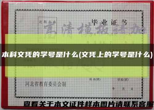 本科文凭的学号是什么(文凭上的学号是什么)缩略图