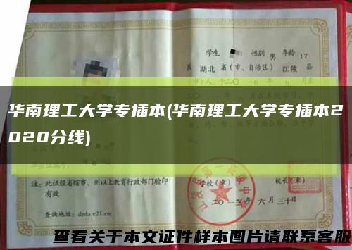 华南理工大学专插本(华南理工大学专插本2020分线)缩略图