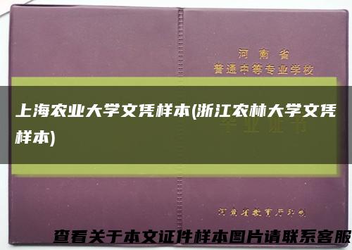 上海农业大学文凭样本(浙江农林大学文凭样本)缩略图