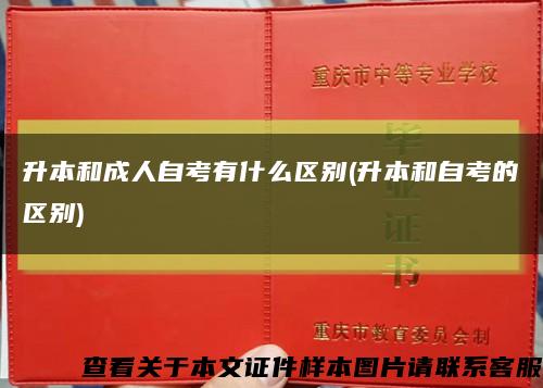 升本和成人自考有什么区别(升本和自考的区别)缩略图