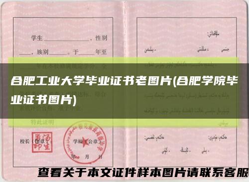 合肥工业大学毕业证书老图片(合肥学院毕业证书图片)缩略图