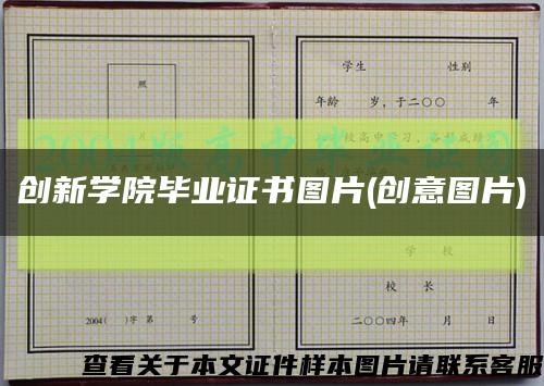 创新学院毕业证书图片(创意图片)缩略图