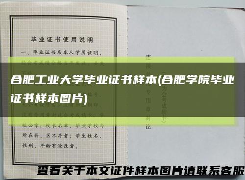 合肥工业大学毕业证书样本(合肥学院毕业证书样本图片)缩略图