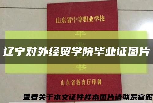 辽宁对外经贸学院毕业证图片缩略图