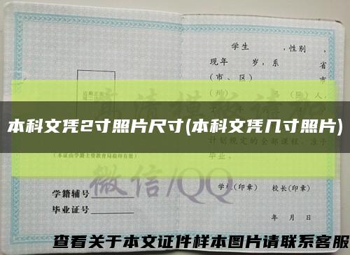 本科文凭2寸照片尺寸(本科文凭几寸照片)缩略图