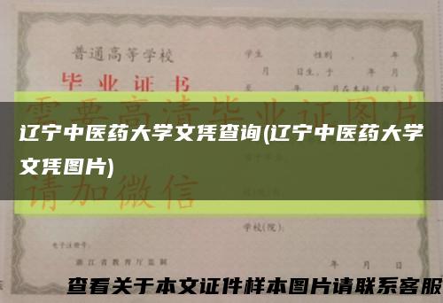 辽宁中医药大学文凭查询(辽宁中医药大学文凭图片)缩略图