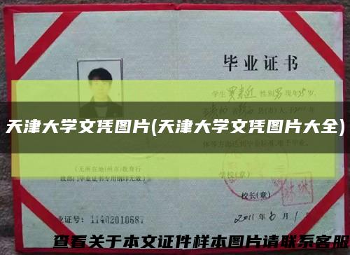 天津大学文凭图片(天津大学文凭图片大全)缩略图