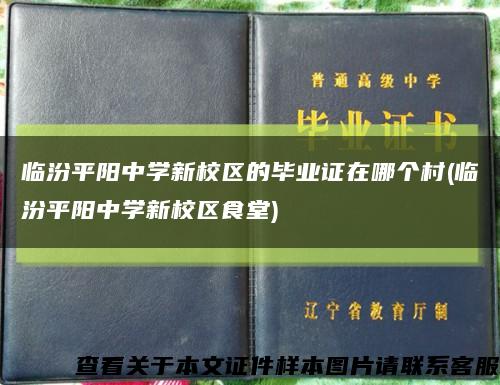 临汾平阳中学新校区的毕业证在哪个村(临汾平阳中学新校区食堂)缩略图