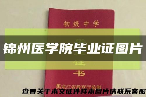 锦州医学院毕业证图片缩略图