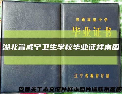 湖北省咸宁卫生学校毕业证样本图缩略图