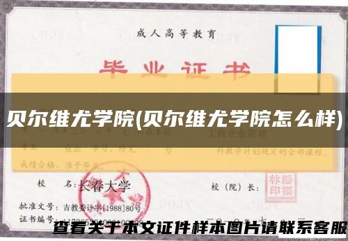 贝尔维尤学院(贝尔维尤学院怎么样)缩略图