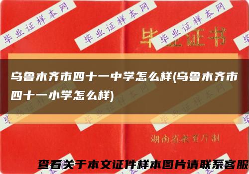 乌鲁木齐市四十一中学怎么样(乌鲁木齐市四十一小学怎么样)缩略图