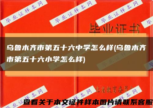 乌鲁木齐市第五十六中学怎么样(乌鲁木齐市第五十六小学怎么样)缩略图