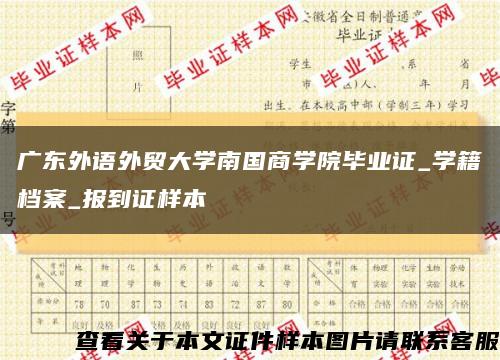 广东外语外贸大学南国商学院毕业证_学籍档案_报到证样本缩略图