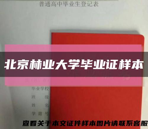 北京林业大学毕业证样本缩略图