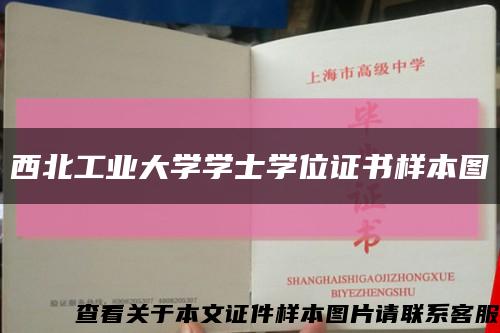 西北工业大学学士学位证书样本图缩略图