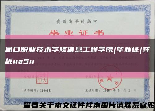 周口职业技术学院信息工程学院|毕业证|样板ua5u缩略图