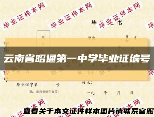 云南省昭通第一中学毕业证编号缩略图